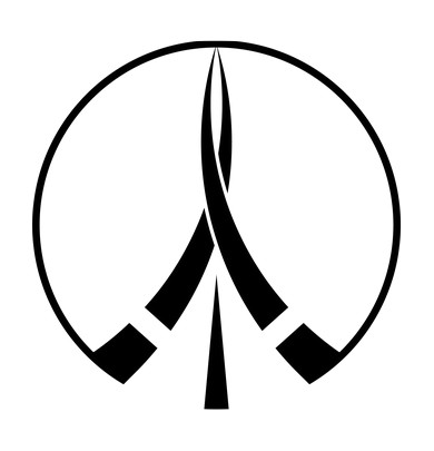 parallelbewegt birsfelden coaching montanes renato